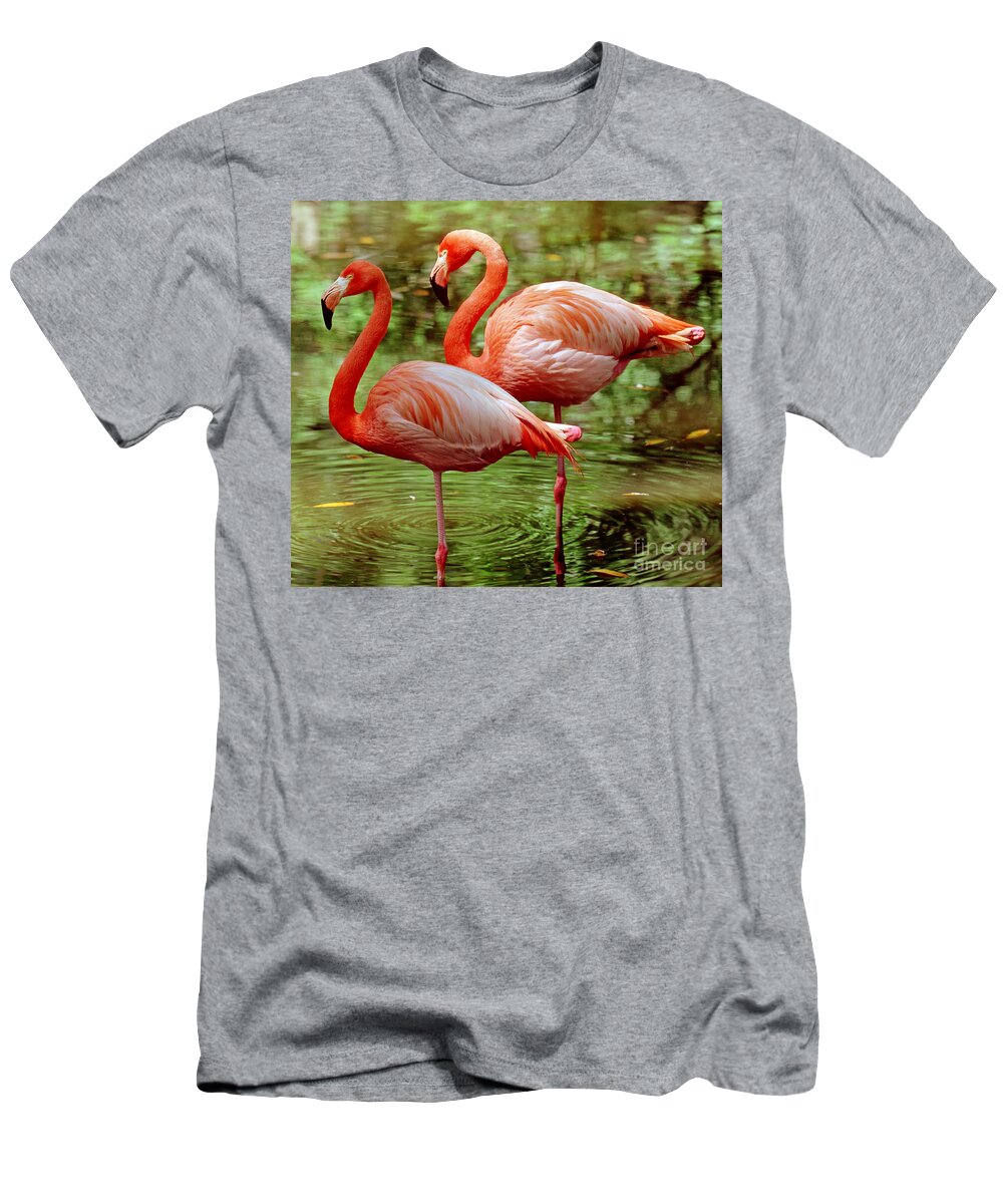Animal T-Shirt featuring the photograph Greater Flamingoes by Millard H Sharp