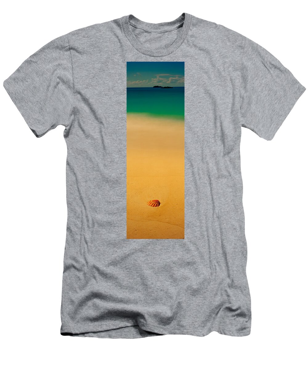 Photography T-Shirt featuring the photograph High Angle View Of A Conch Shell #1 by Panoramic Images