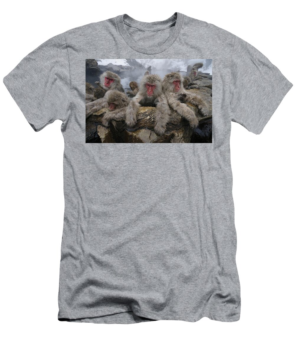 Feb0514 T-Shirt featuring the photograph Japanese Macaque Group In Hot Spring #1 by Hiroya Minakuchi