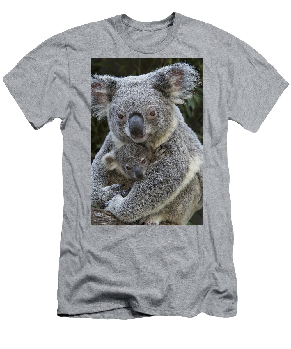 Feb0514 T-Shirt featuring the photograph Koala Mother Holding Joey Australia by Suzi Eszterhas