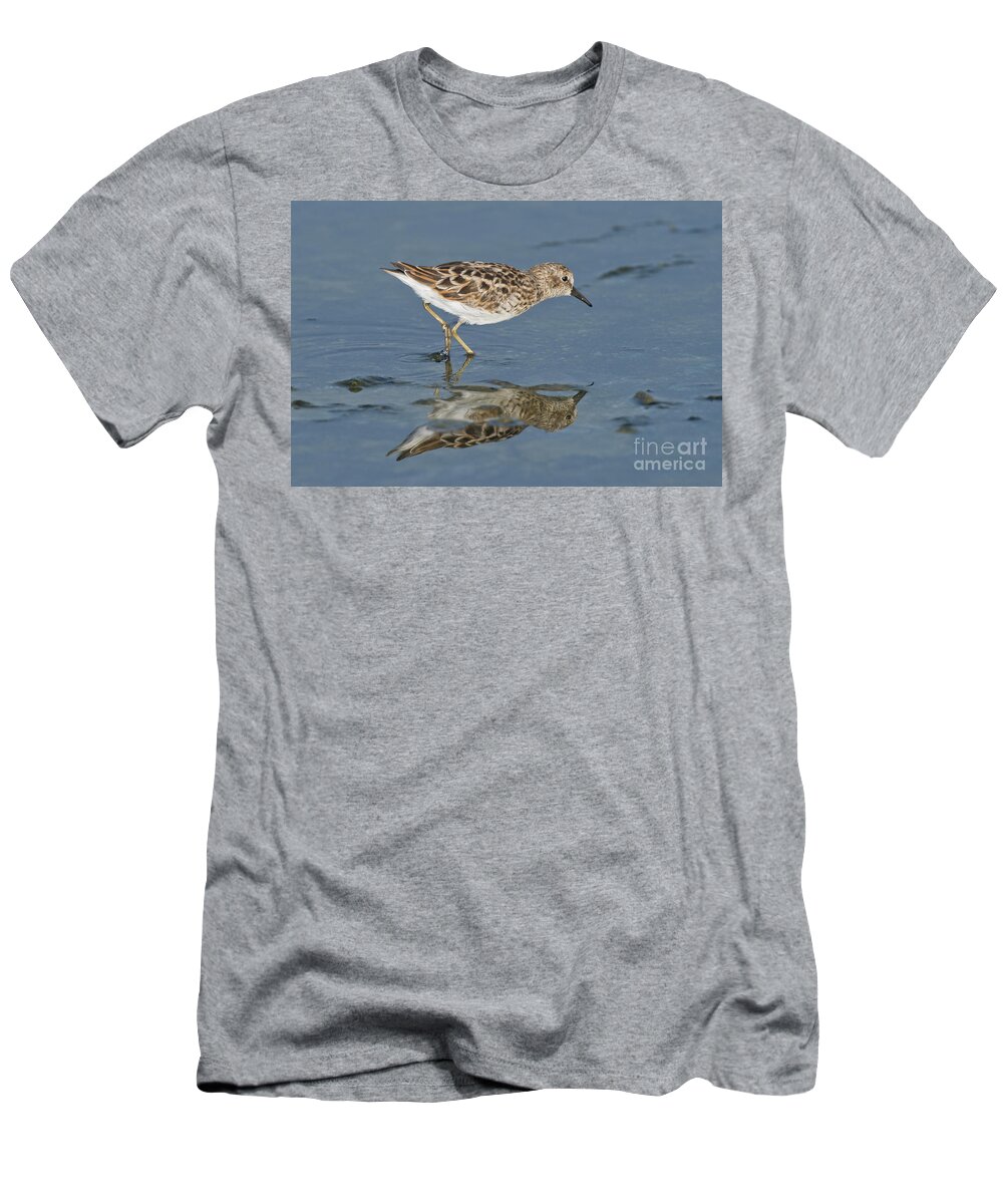 Least Sandpiper T-Shirt featuring the photograph Least Sandpiper #1 by Anthony Mercieca