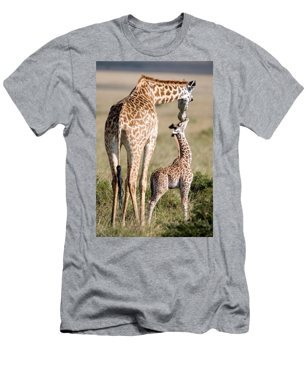 Photography T-Shirt featuring the photograph Masai Giraffe Giraffa Camelopardalis #1 by Panoramic Images