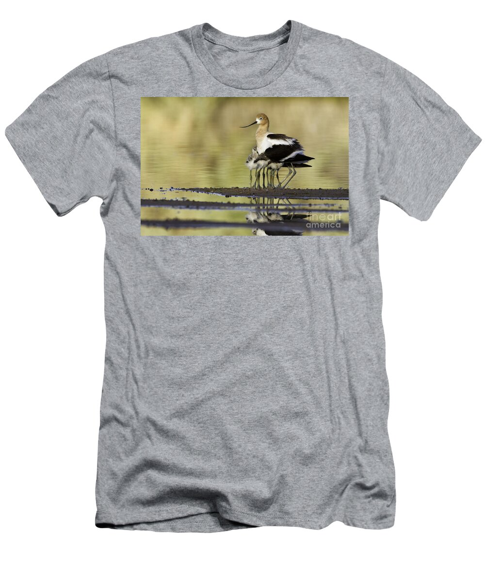 American Avocet T-Shirt featuring the photograph Nice legs #1 by Bryan Keil