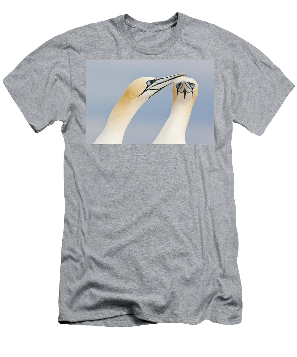 Nis T-Shirt featuring the photograph Northern Gannets Greeting Saltee Island #1 by Bart Breet
