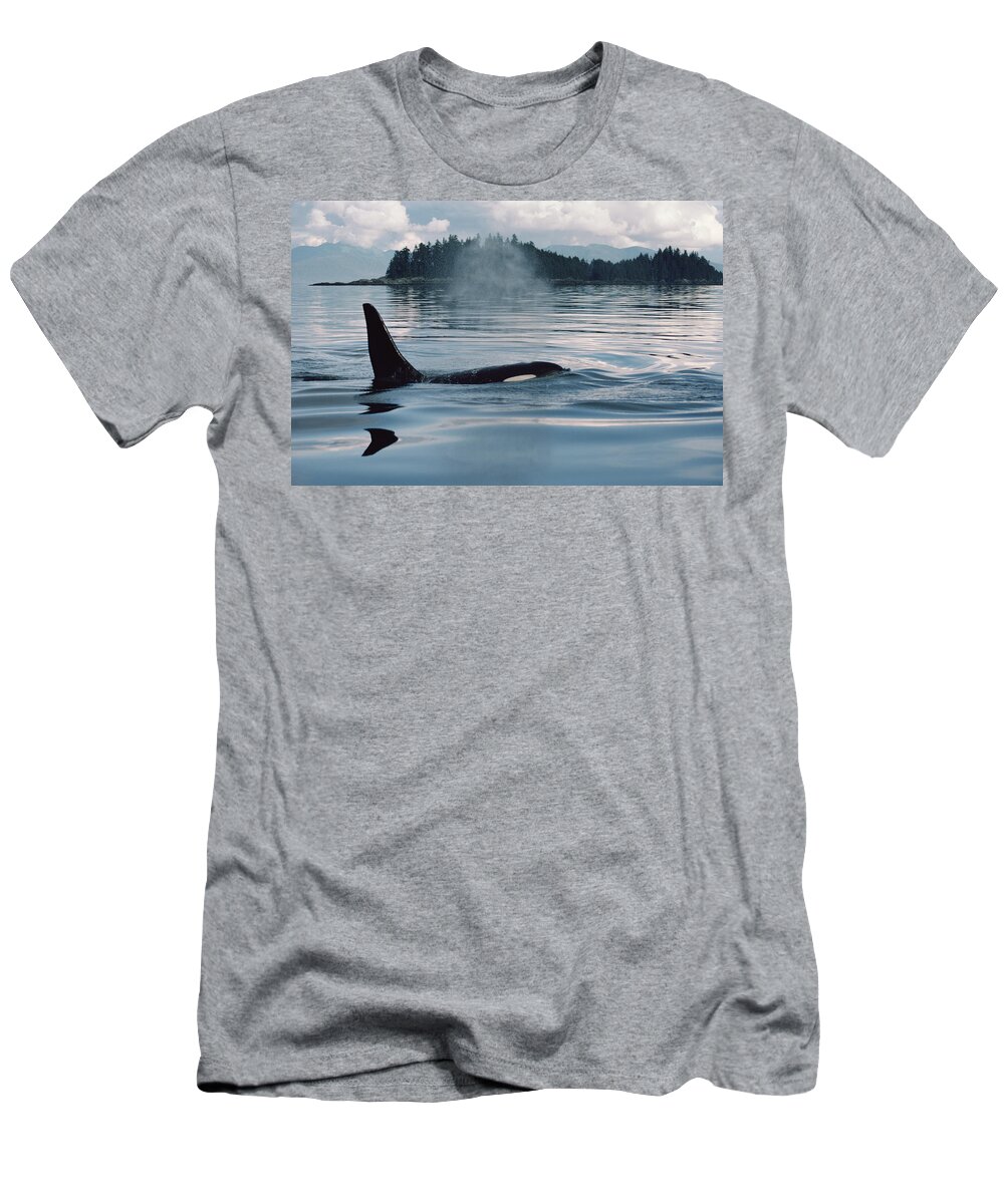 Feb0514 T-Shirt featuring the photograph Orca Surfacing Johnstone Strait Bc #1 by Flip Nicklin