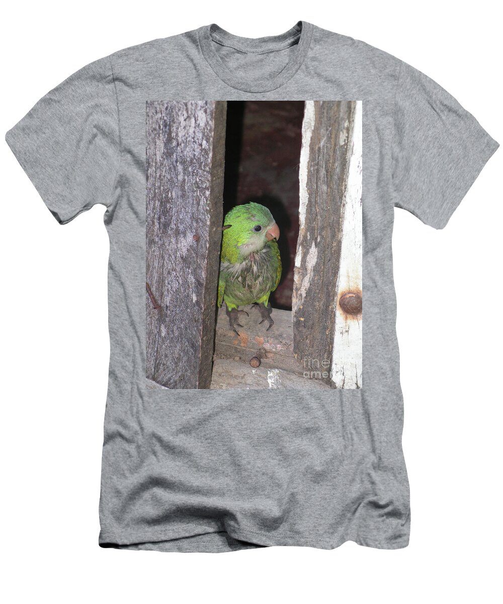 Parrot Peeking T-Shirt featuring the digital art Parrot #1 by Carol Ailles
