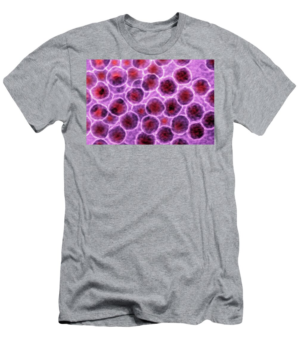 Picornavirus T-Shirt featuring the photograph Picornavirus, Tem #1 by James Cavallini