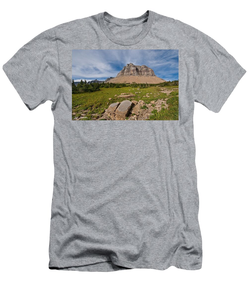 Alpine T-Shirt featuring the photograph Pollock Mountain from Logan Pass by Jeff Goulden