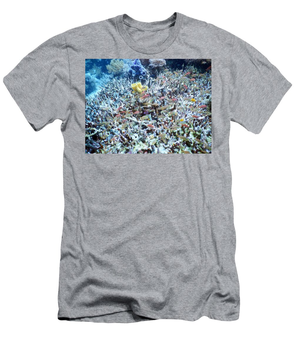 Biodiversity T-Shirt featuring the photograph Reef Biodiversity #1 by Carleton Ray