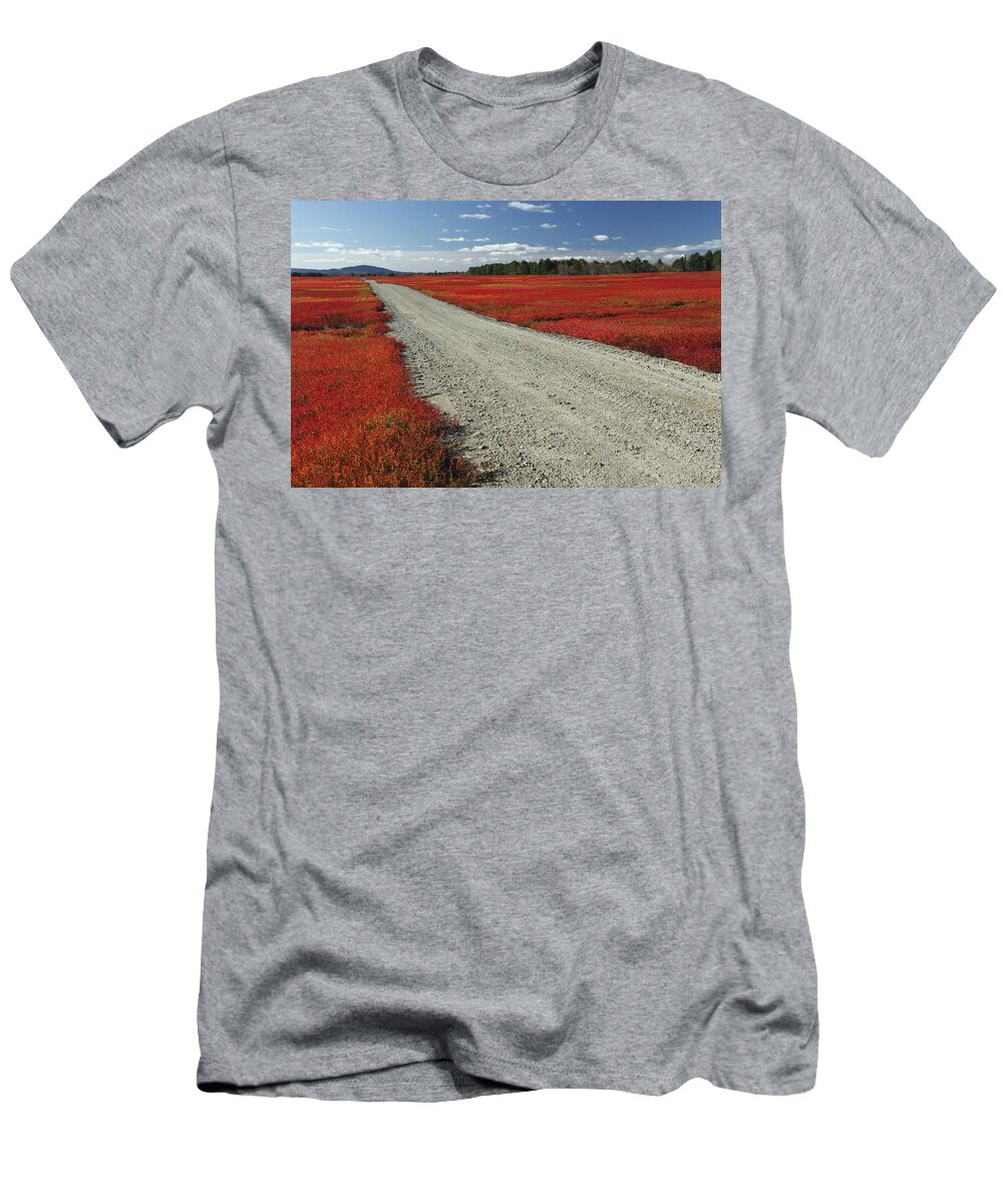 Feb0514 T-Shirt featuring the photograph Road Through Autumn Blueberry Maine #1 by Scott Leslie