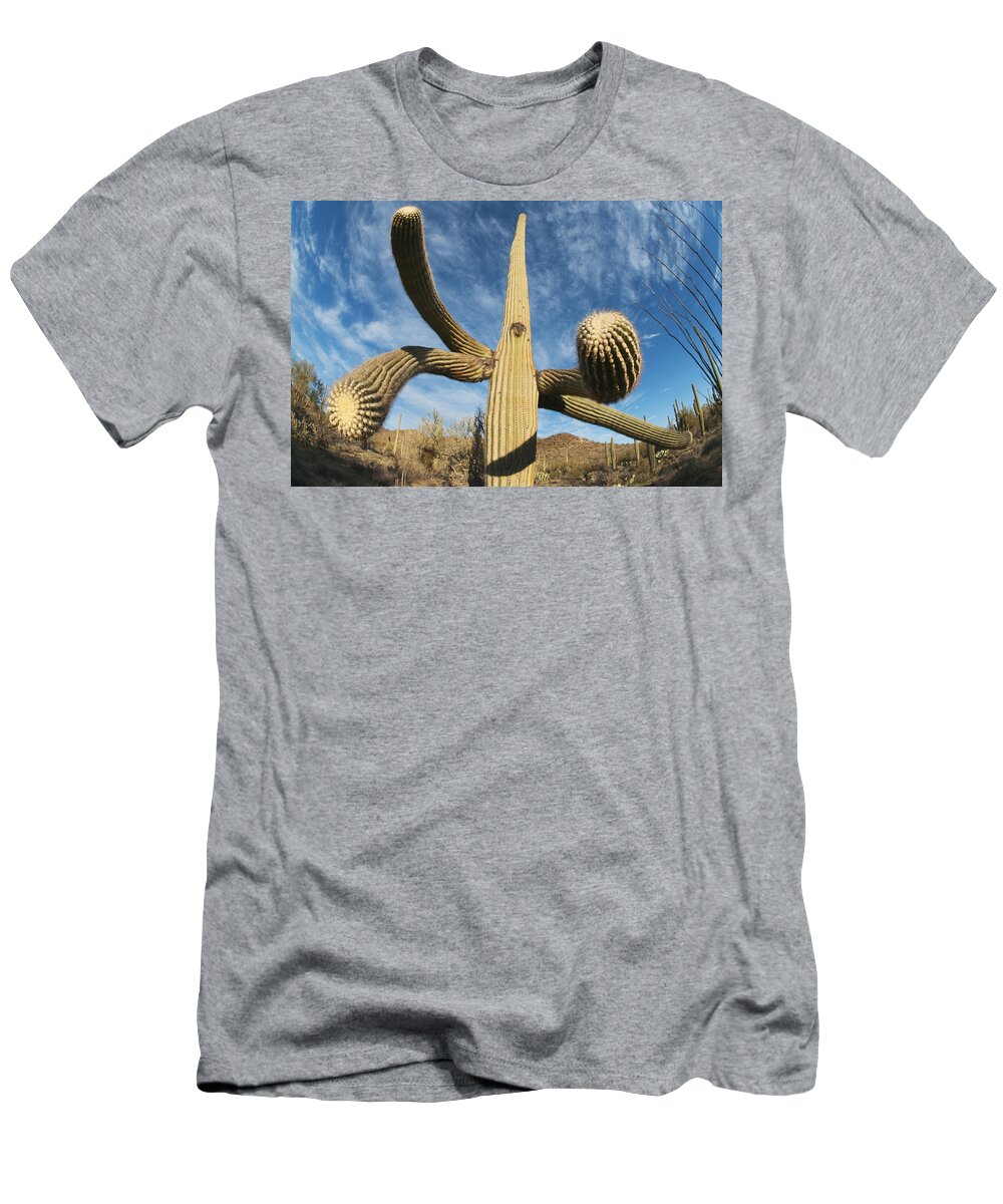 Feb0514 T-Shirt featuring the photograph Saguaro Cactus Saguaro Np Arizona #1 by Kevin Schafer