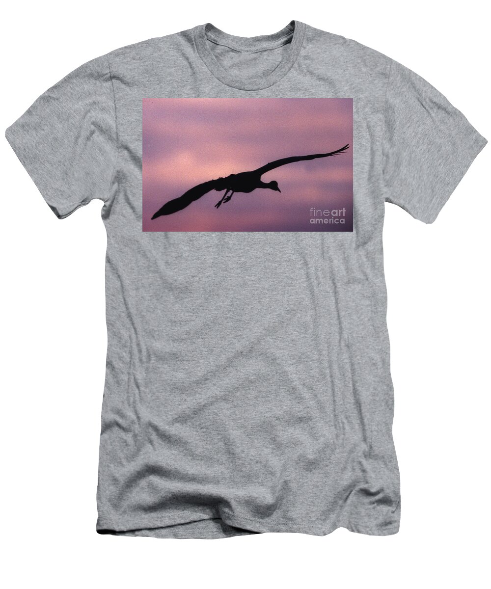 Sandhill Crane T-Shirt featuring the photograph Sandhill Crane by Steven Ralser