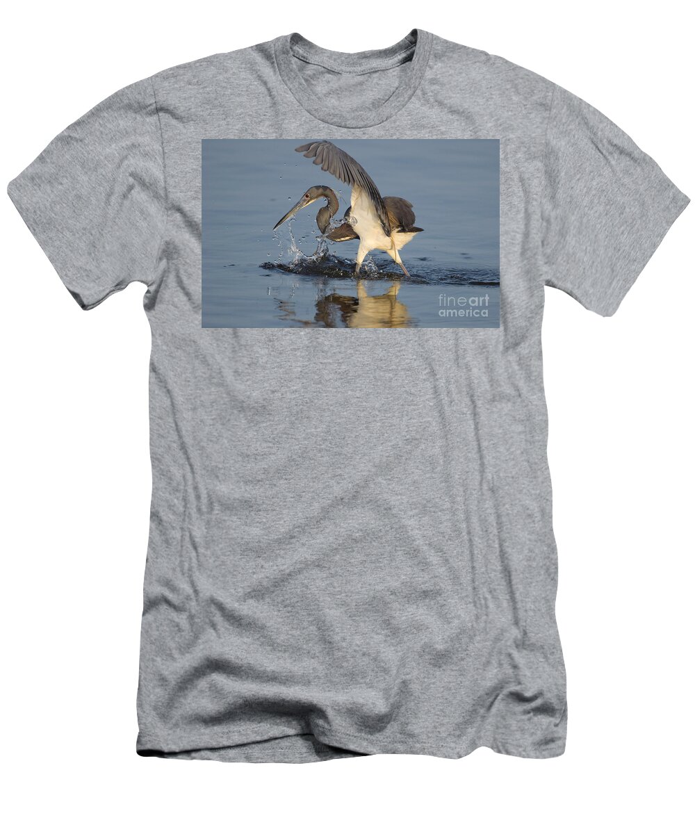 Fauna T-Shirt featuring the photograph Tri-colored Heron #1 by Anthony Mercieca