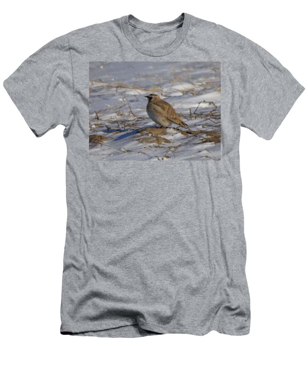Bird T-Shirt featuring the photograph Winter Bird #2 by Jeff Swan