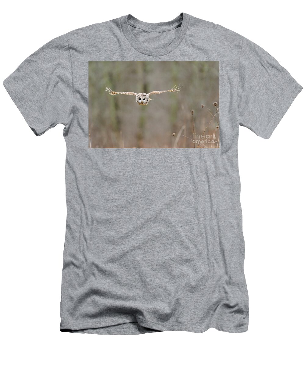 Barred Owl T-Shirt featuring the photograph Barred Owl #10 by Scott Linstead