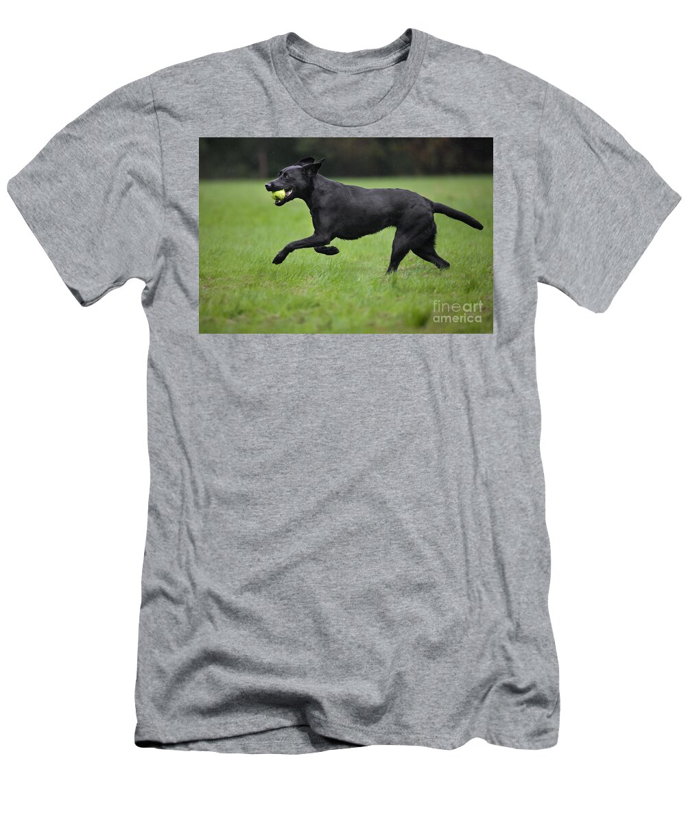 Mammal T-Shirt featuring the photograph 111130p192 by Arterra Picture Library