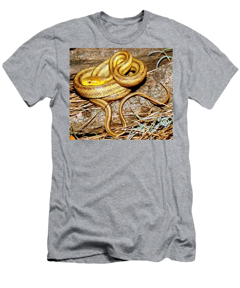 Yellow Rat Snake T-Shirt featuring the photograph Yellow Rat Snake #12 by Millard H. Sharp