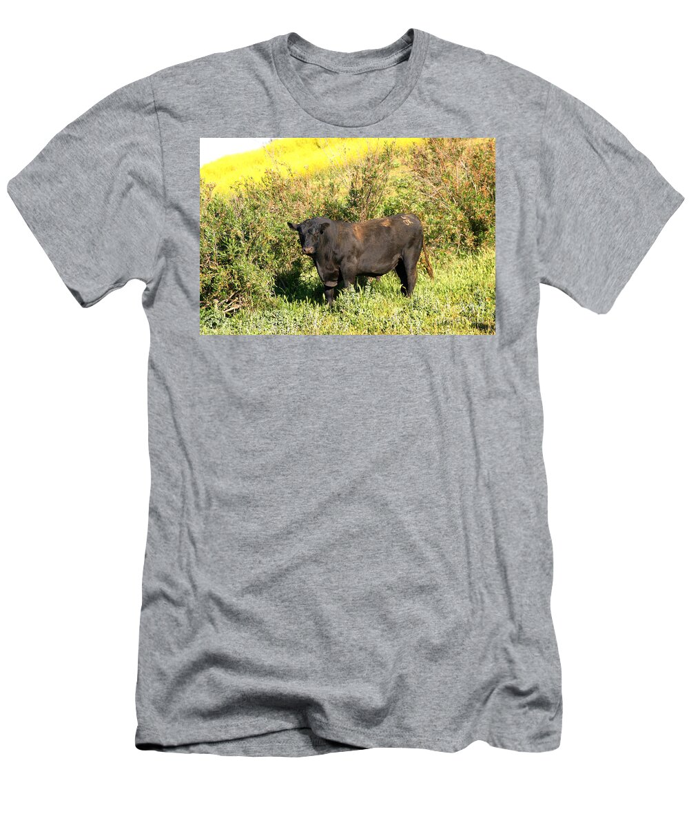 Agriculture T-Shirt featuring the photograph Bull #2 by Henrik Lehnerer
