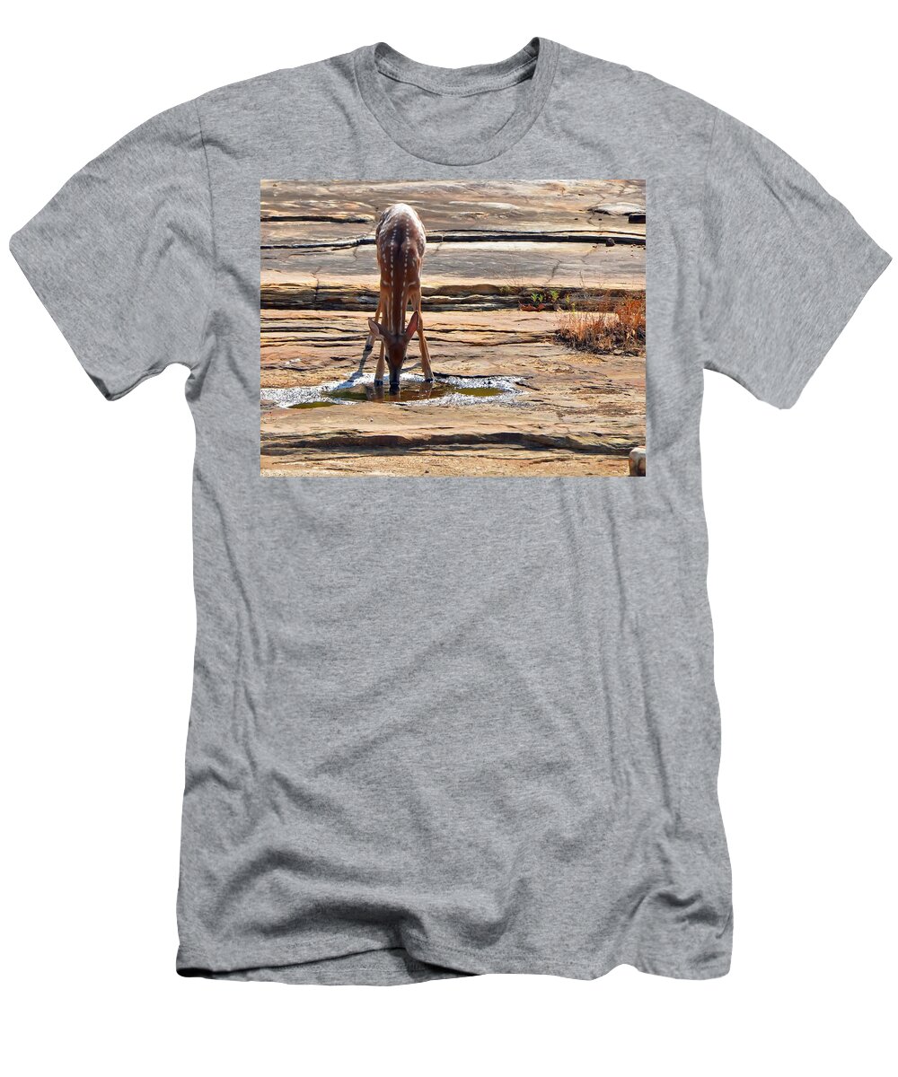 Deer T-Shirt featuring the photograph Exploring #2 by Charlotte Schafer