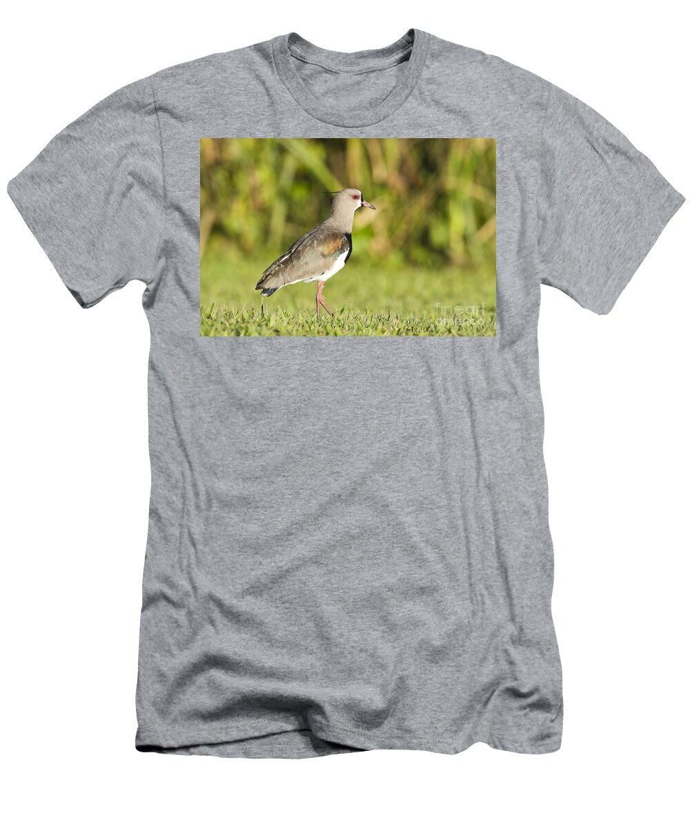 Nature T-Shirt featuring the photograph Southern Lapwing #2 by William H. Mullins