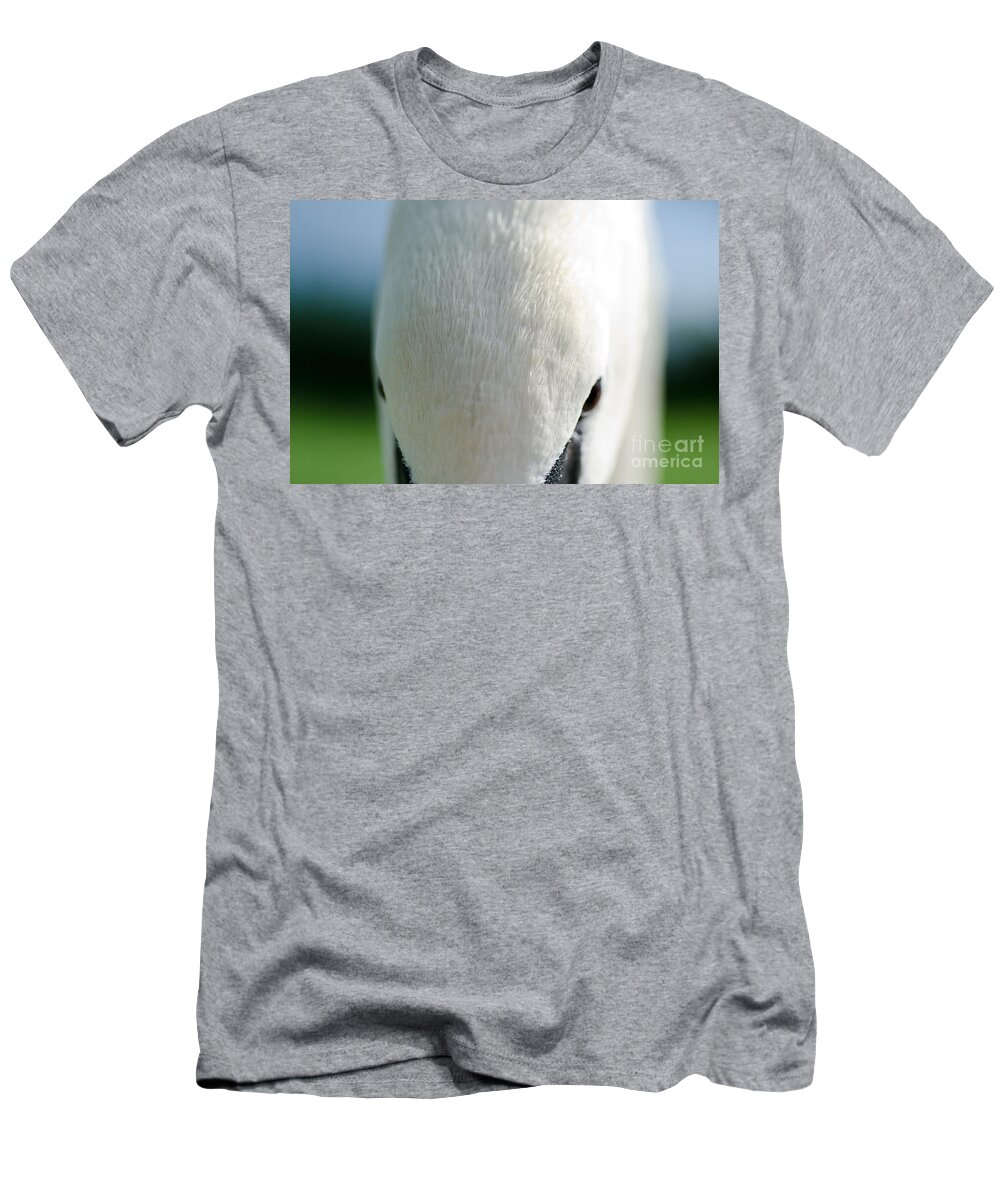 Swan T-Shirt featuring the photograph Swan #2 by Mats Silvan