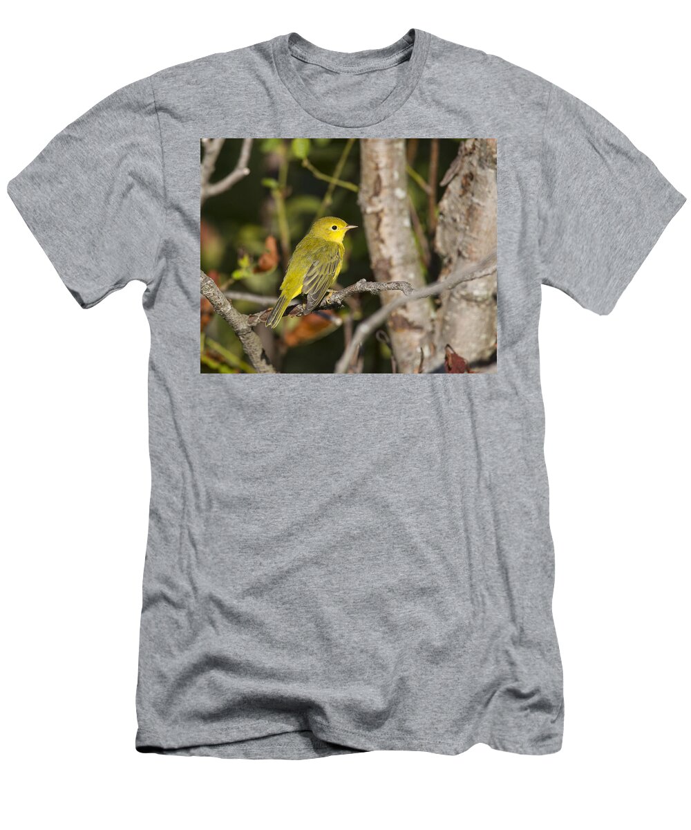 Doug Lloyd T-Shirt featuring the photograph Yellow Warbler #21 by Doug Lloyd