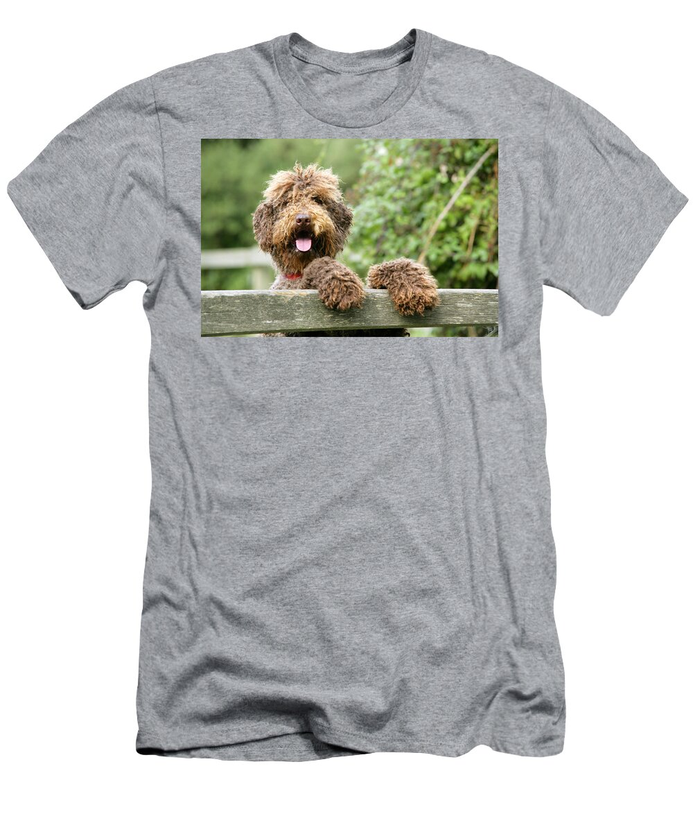 Dog T-Shirt featuring the photograph Brown Labradoodle #3 by John Daniels