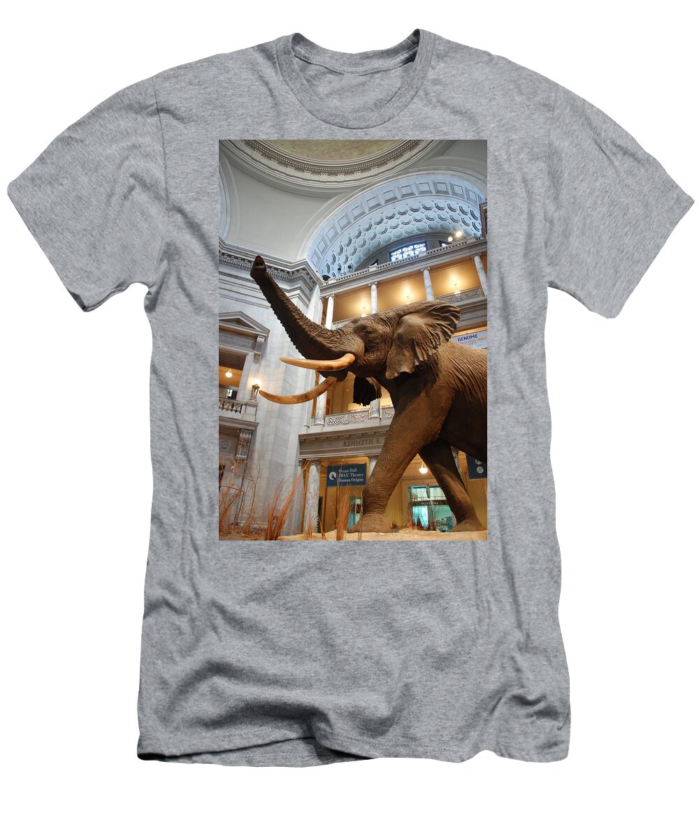 Bull Elephant T-Shirt featuring the photograph Bull Elephant in Natural History Rotunda by Kenny Glover