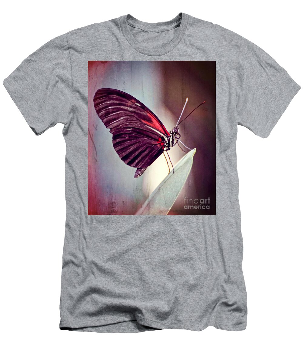 Butterfly T-Shirt featuring the photograph Butterfly #2 by Savannah Gibbs