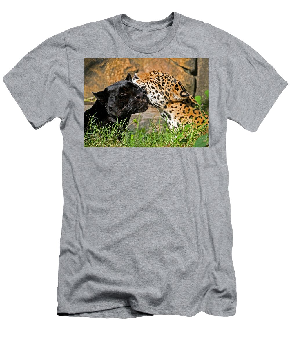 Jaguar T-Shirt featuring the photograph Jaguars #3 by Millard H. Sharp