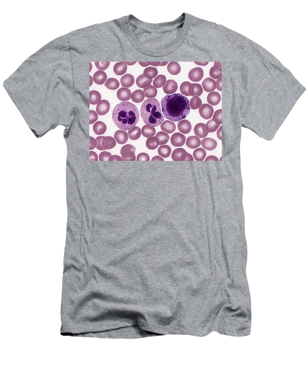 Blood T-Shirt featuring the photograph Red And White Blood Cells, Lm #2 by Alvin Telser