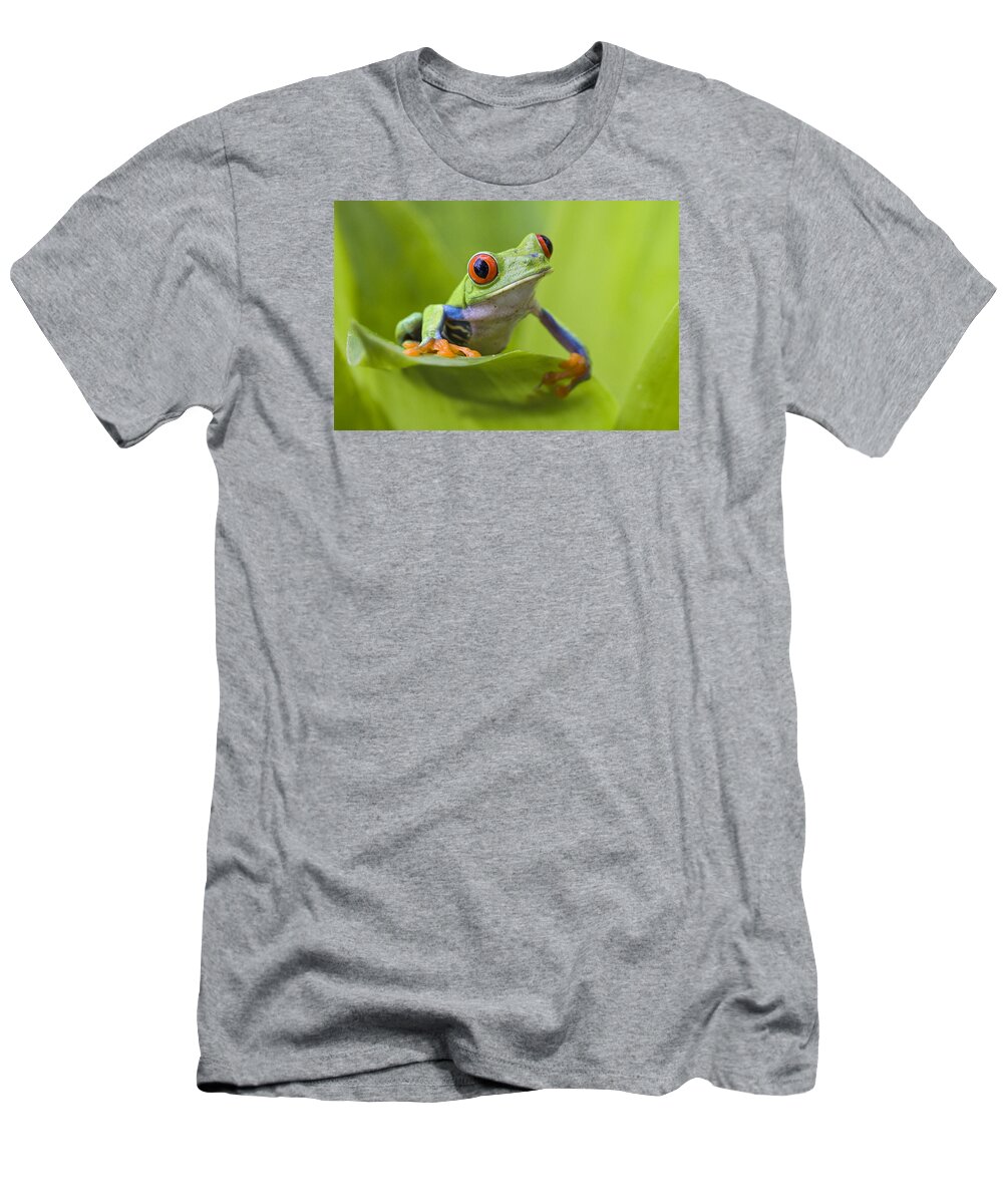 Feb0514 T-Shirt featuring the photograph Red-eyed Tree Frog Costa Rica #4 by Suzi Eszterhas