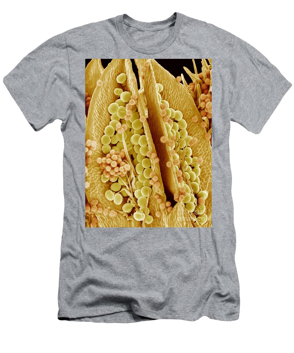 Biological T-Shirt featuring the photograph Sunflower Pistil, Sem #3 by Susumu Nishinaga