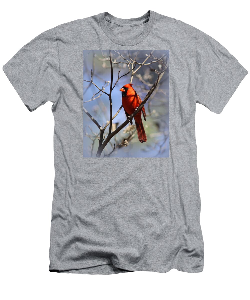 8x10 T-Shirt featuring the photograph 3477-006- Northern Cardinal by Travis Truelove