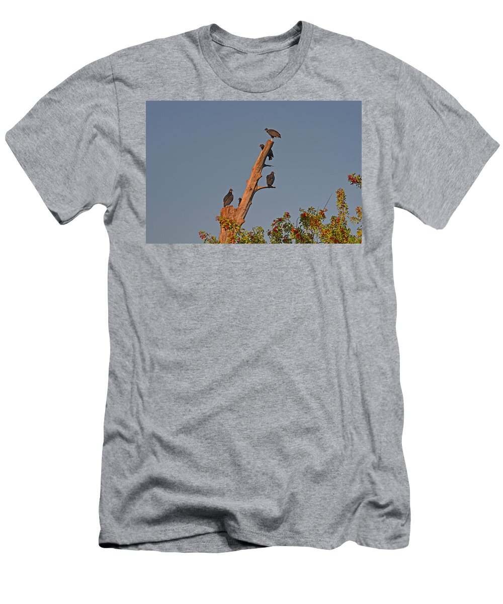  T-Shirt featuring the photograph 4- Black Vultures by Joseph Keane