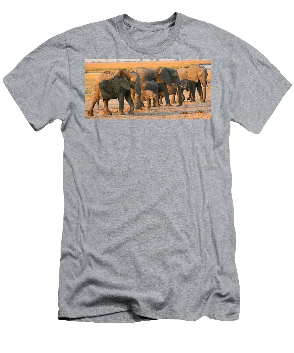 Elephants T-Shirt featuring the photograph Kalahari Elephants #4 by Amanda Stadther
