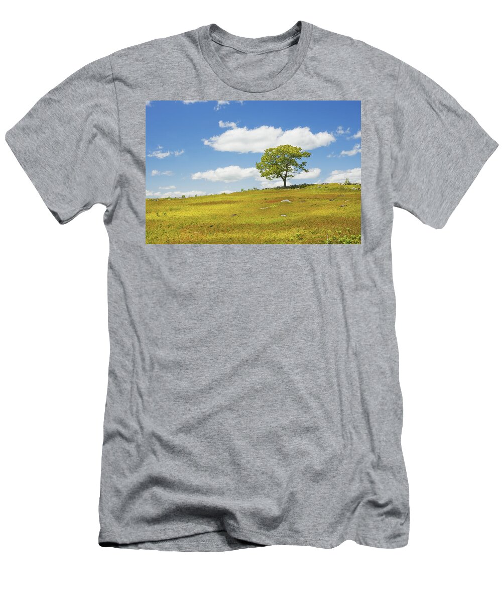 Tree T-Shirt featuring the photograph Lone Tree With Blue Sky In Blueberry Field Maine #4 by Keith Webber Jr