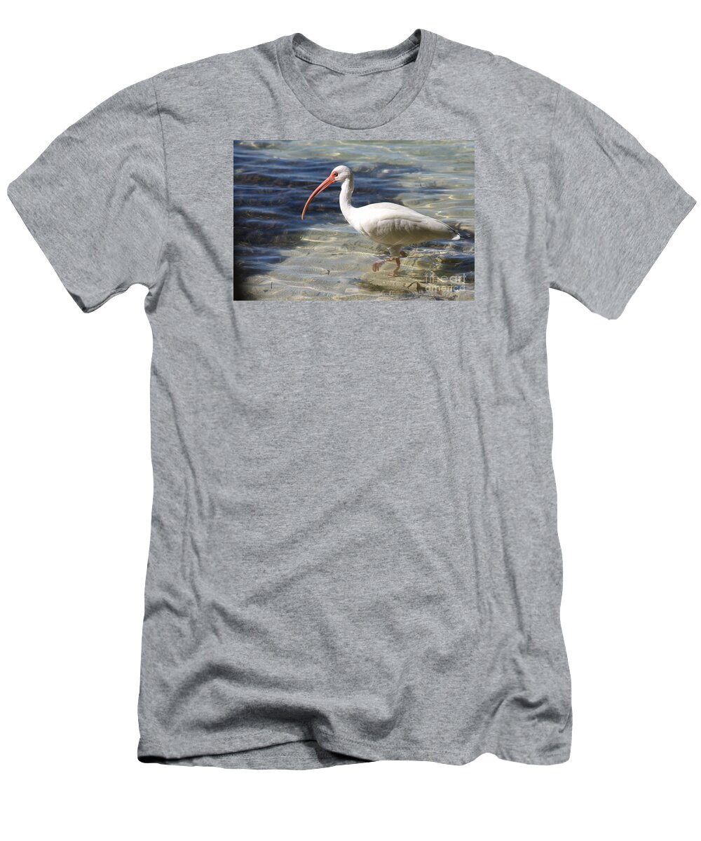 Ibis T-Shirt featuring the photograph White Ibis by Christiane Schulze Art And Photography