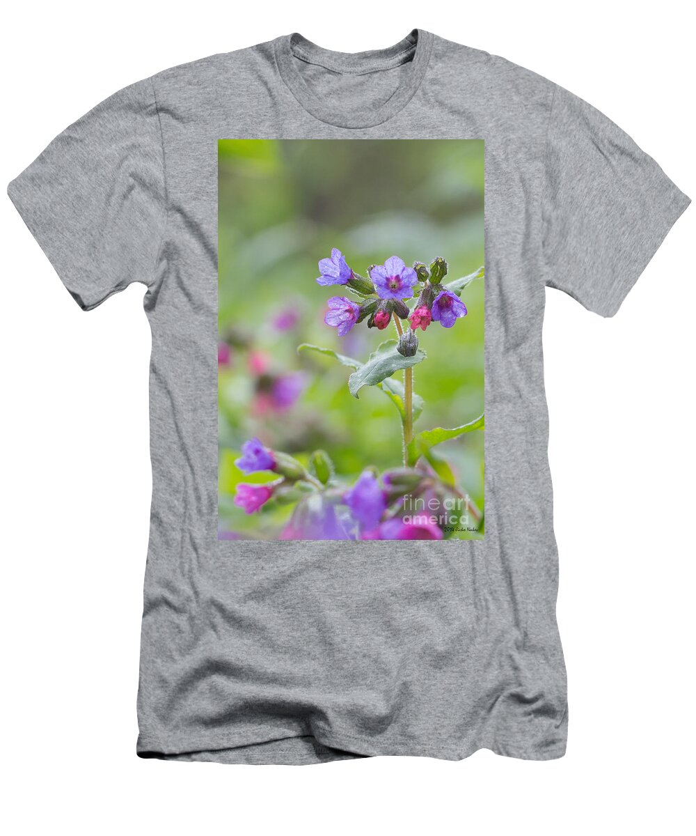 Bulgaria T-Shirt featuring the photograph Common lungwort #8 by Jivko Nakev