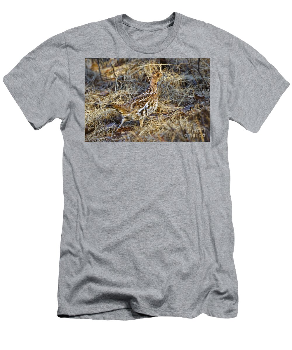 Bedford T-Shirt featuring the photograph Ruffed Grouse #9 by Ronald Lutz
