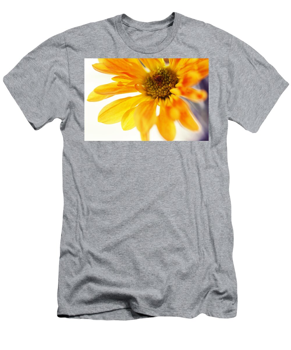Chrysanthemum T-Shirt featuring the photograph A Little Bit Sun in the Cold Time by Jenny Rainbow