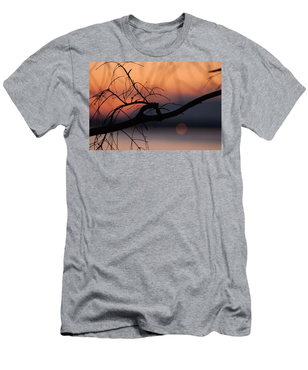 Branch T-Shirt featuring the photograph A-OK Branch by Kathy Paynter