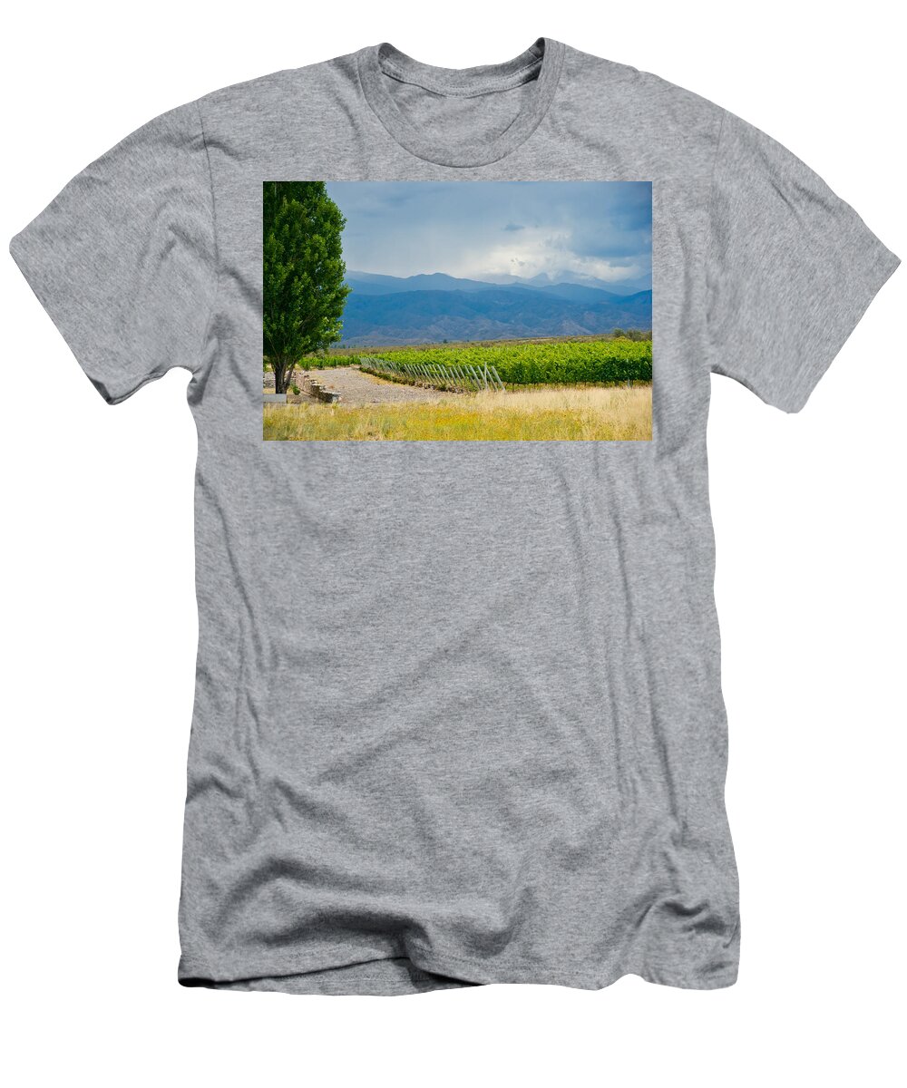 Vines T-Shirt featuring the photograph Storm on the Horizon #2 by Kent Nancollas
