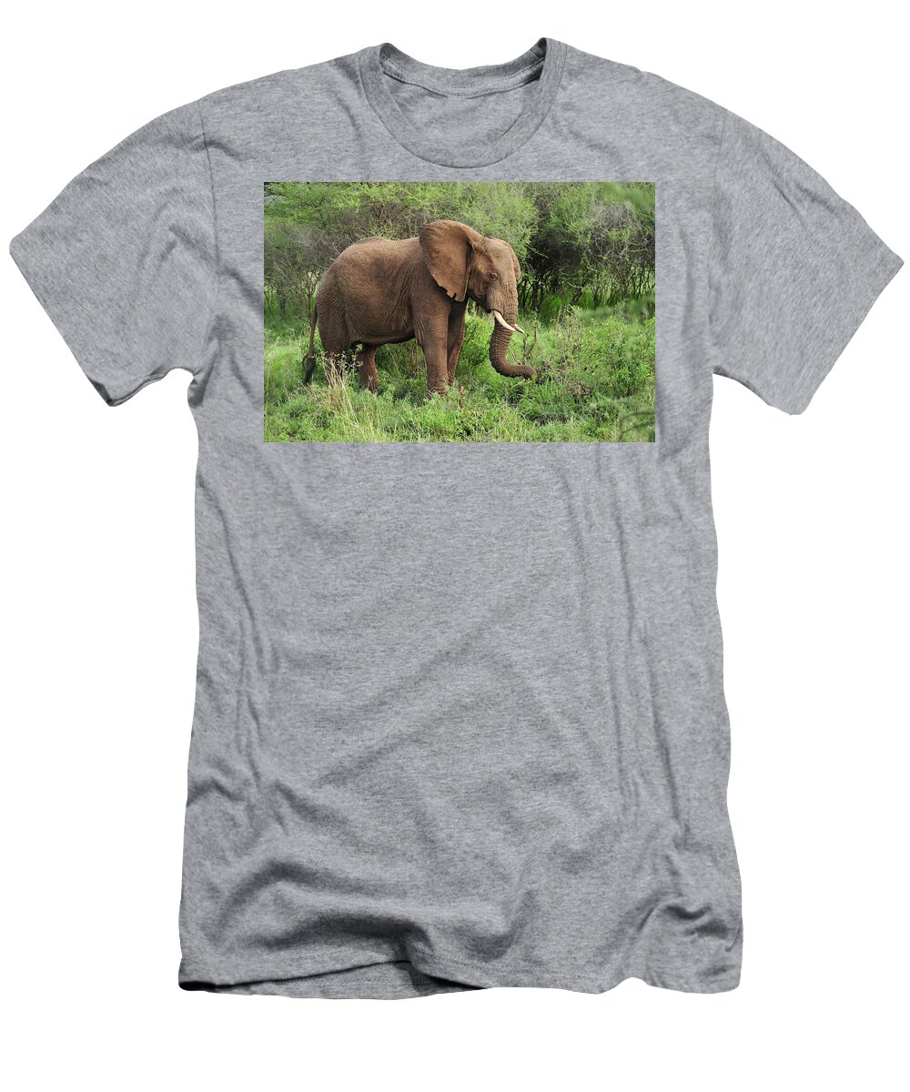 Thomas Marent T-Shirt featuring the photograph African Elephant Grazing Serengeti by Thomas Marent