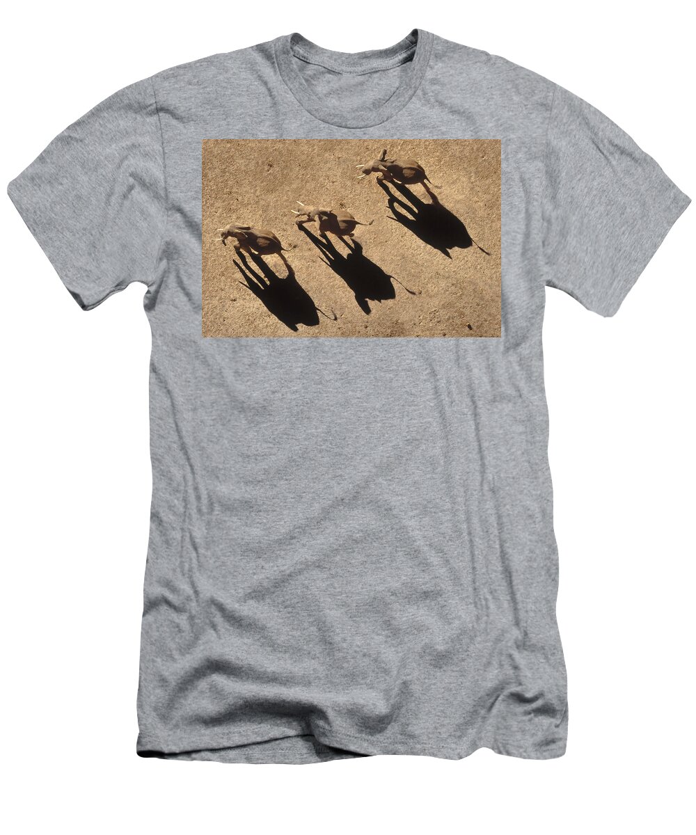 00173360 T-Shirt featuring the photograph African Elephant Shadows by Tim Fitzharris