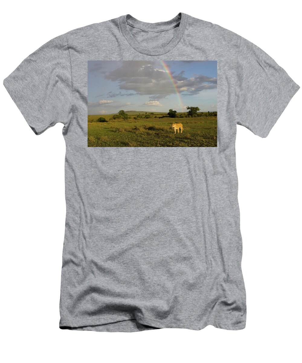 00761273 T-Shirt featuring the photograph African Lion Female with Rainbow by Suzi Eszterhas