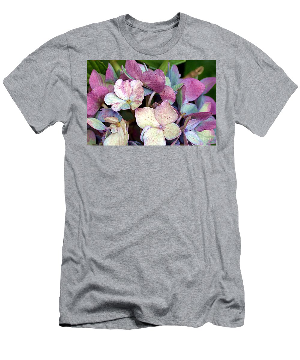 Hydrangea T-Shirt featuring the photograph Aging Hydrangea by Living Color Photography Lorraine Lynch