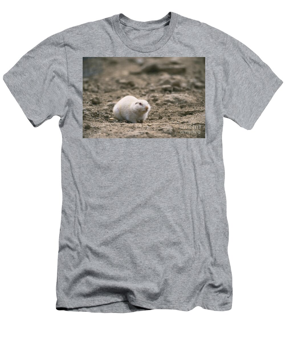 Nature T-Shirt featuring the photograph Albino Black-tailed Prairie Dog by Mark Newman