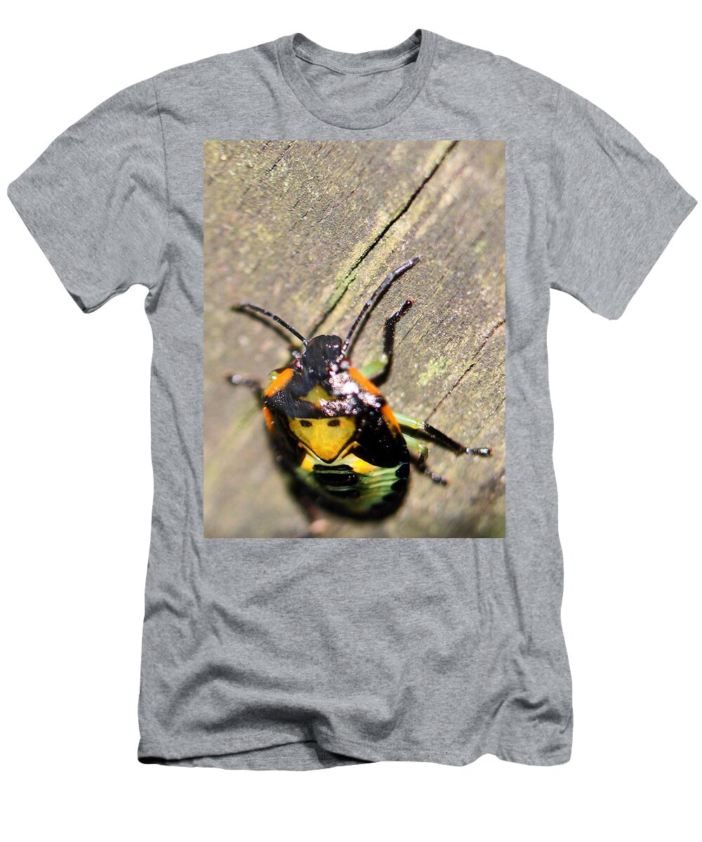 Insects T-Shirt featuring the photograph Alien Creature by Jennifer Robin