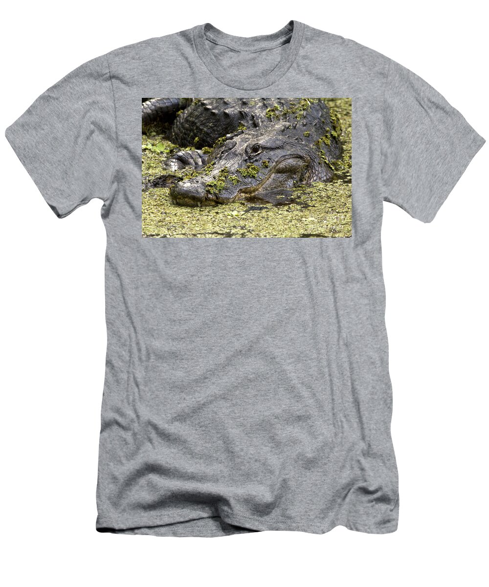 American Alligator T-Shirt featuring the photograph American Alligator Print by Meg Rousher